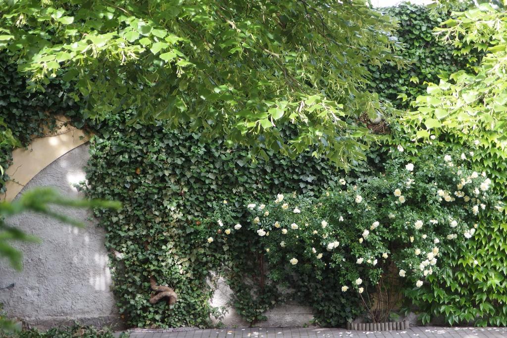 Patio Apartamenty i Pokoje Niechorze Exteriér fotografie